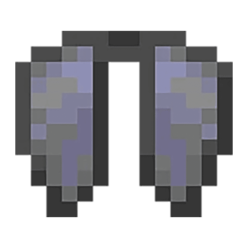 Elytra